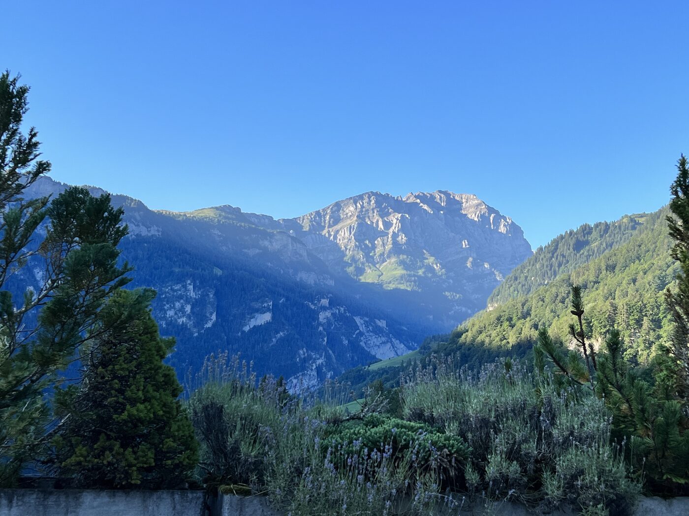 Aussicht vom Balkon